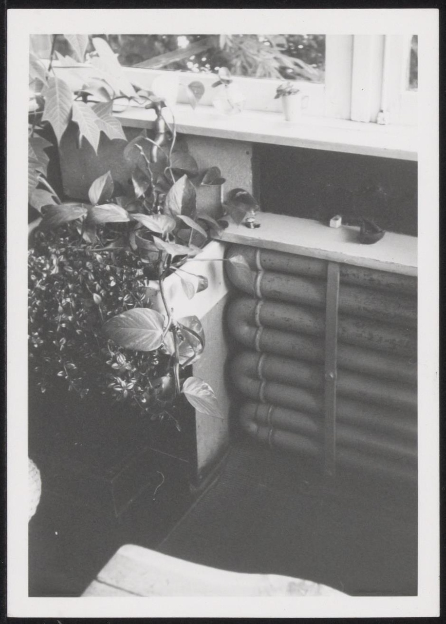 Afbeelding van Rietveld Schröderhuis - interieur boven - gootsteentje met planten in zithoek